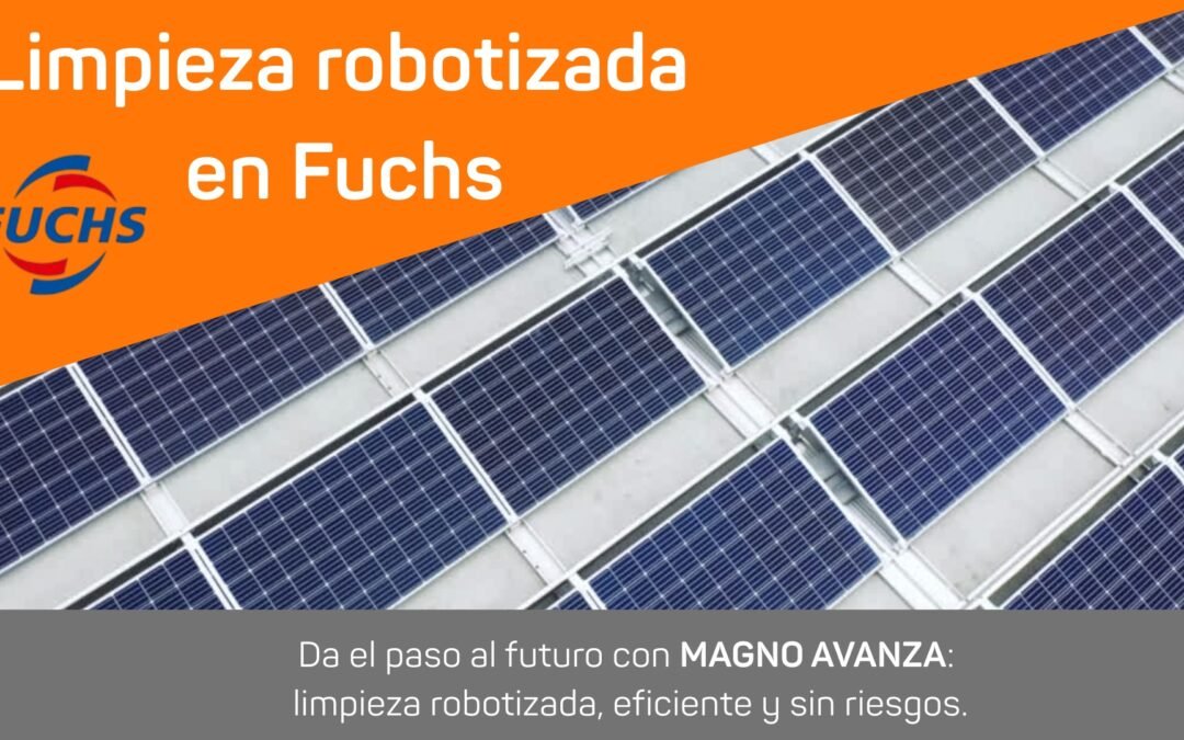portada de la limpieza en Fuchs