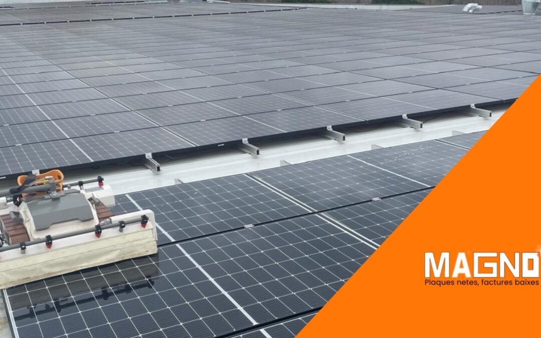 limpieza robotizada de paneles solares eficiente Magno Avanza